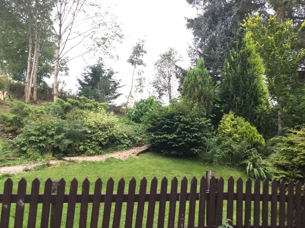 Bed and Breakfast Maes Y Gwaelod Лланвртид-Уэлс Экстерьер фото